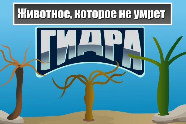 Кракен маркетплейс 2025