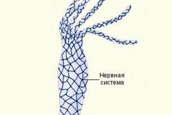 Кракен наркологический