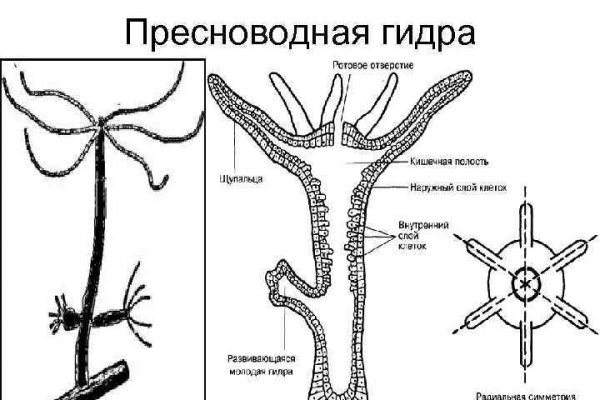 Рабочий сайт kraken