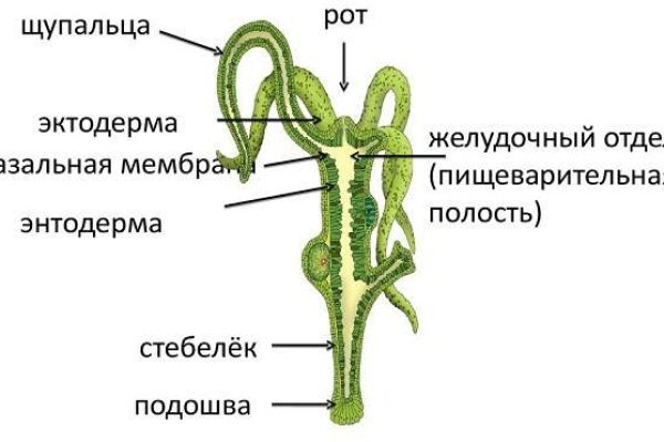 Кракен сайт 2krnk cc